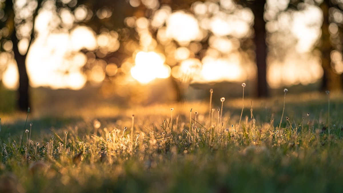 De l’équilibre urbain face à la zéro artificialisation